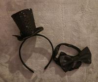 Faschingskostüm/ Fasching Accessoires/ Karneval Sachsen - Bautzen Vorschau