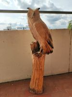 Kettensägen Schnitzerei Eule Holz Holzskulptur Kettensägenkunst Niedersachsen - Lehrte Vorschau