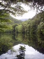 Suche Teich Weiher Grundstück Rheinland-Pfalz - Montabaur Vorschau