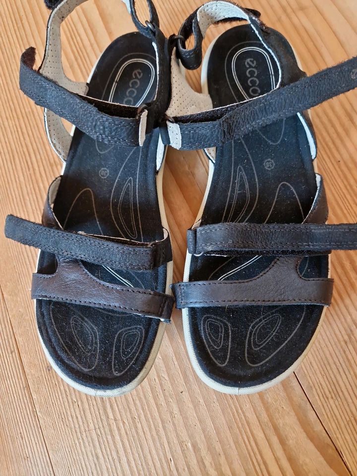 Sandalen von ecco in Tauberbischofsheim