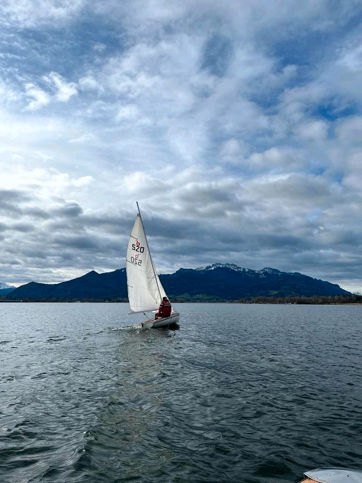 Segelboot, Segeljolle, Schwertjolle, Häfele 415 in Weil im Schönbuch