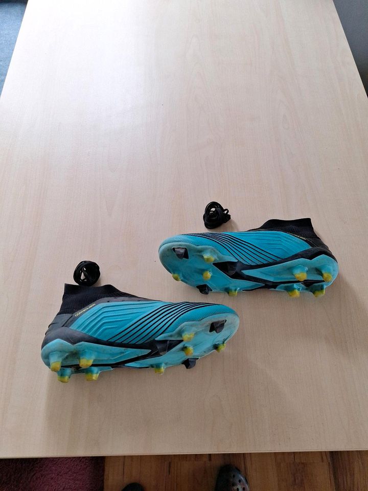 Adidas Predator 18.1 US 7 Größe 40 in Kulmbach