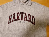 Sweatshirt h&m Hoodie Kapuze Damen Mädchen Gr. XS grau Harvard Bayern - Mering Vorschau