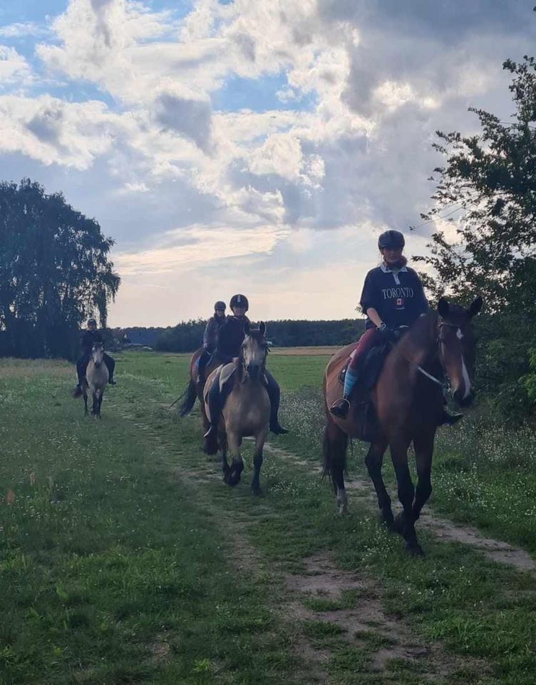 Reittag für die ganze Familie in Spreenhagen