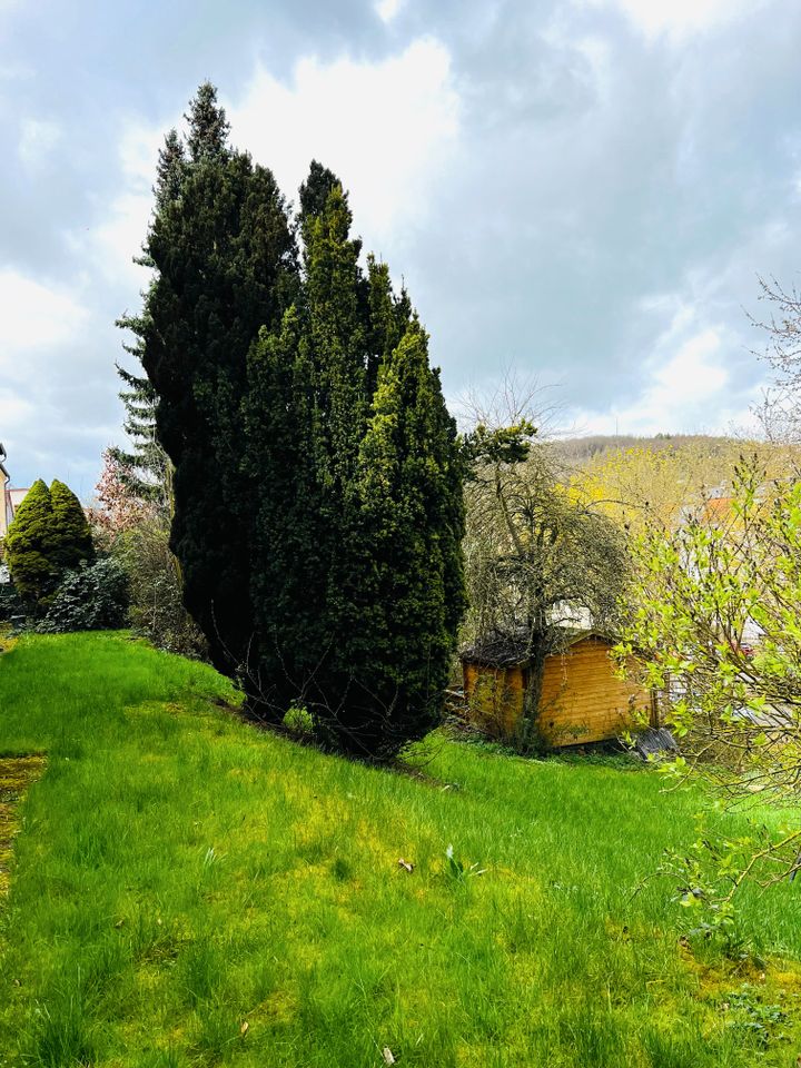 Großzügig geschnittene Maisonette Wohnung mit traumhafter Aussicht in Bad Salzschlirf in Bad Salzschlirf