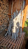 Birkenstöcke zum Basteln , Bauen , Dekoration Sachsen - Oschatz Vorschau