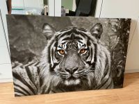 Leinwand Bild Tiger 120x80 Bayern - Sulzbach-Rosenberg Vorschau