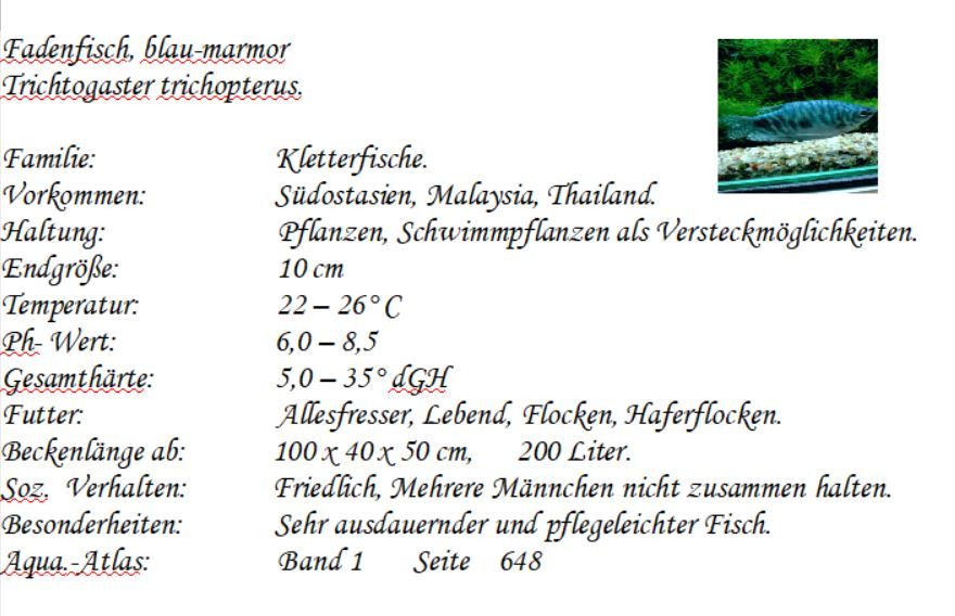 Mosaikfadenfisch, Marmorfadenfisch, Goldfadenfisch in Hohenroth bei Bad Neustadt a d Saale