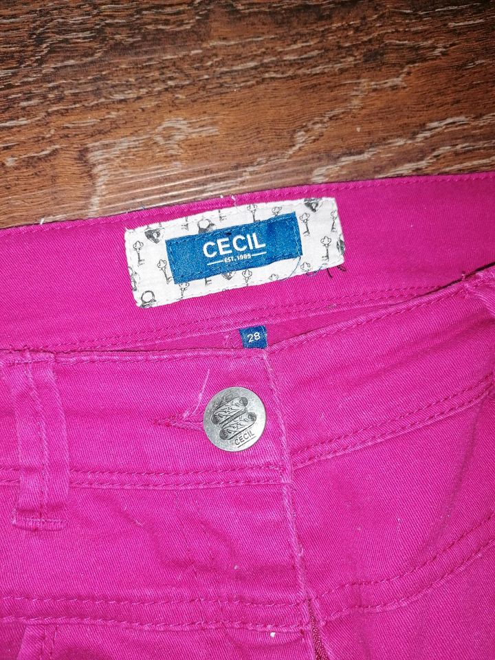 3 Hosen Jeans Gr 28 M /L Cecil Buena Vista Rock Angel in Wallenhorst