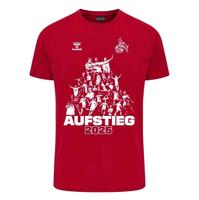 Aufstiegsshirt in Größe 3XL Nordrhein-Westfalen - Neukirchen-Vluyn Vorschau
