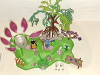 Playmobil 5444 Fairies Feeninsel mit Edelsteinquelle komplett OVP Bayern - Bad Kötzting Vorschau