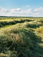 Suche Ackerland oder Waldland zu kaufen Bayern - Hösbach Vorschau