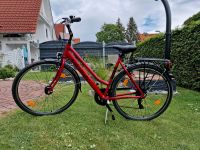 Damen Fahrrad 28er Hessen - Grebenstein Vorschau