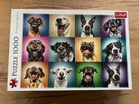 Hunde Puzzle 1000 Teile Hamburg - Wandsbek Vorschau