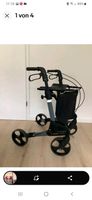 Rollator TOPRO Troja Classic das Original aus Norwegen Stuttgart - Degerloch Vorschau