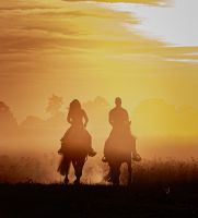 Mobiler Westernreitunterricht Trainer C EWU/DOSB Bayern - Buchloe Vorschau