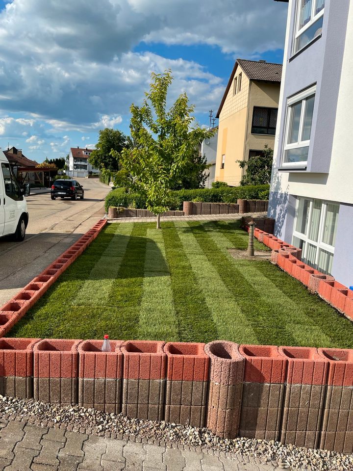 CKu Gartenpflege SCHNEIDEN PFLEGEN FÄLLEN FRÄSEN BAGGER und mehr in Oberkochen