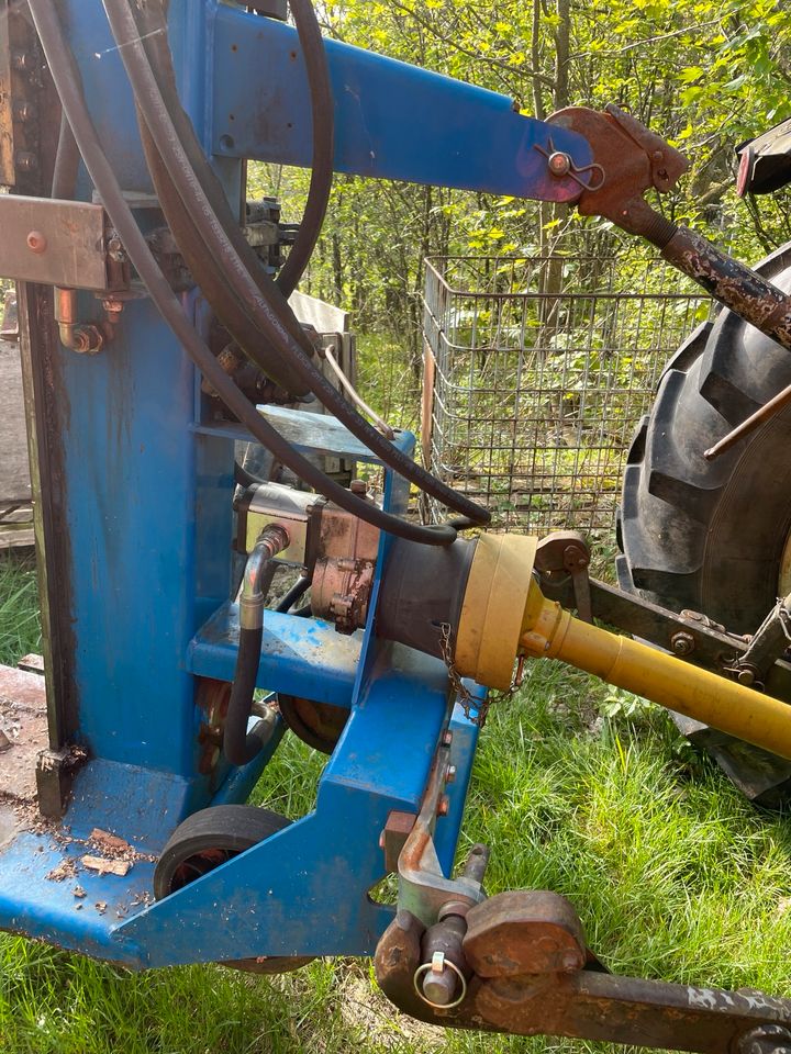 Holzspalter 18 t mit Stammaufheben in Leimen Pfalz