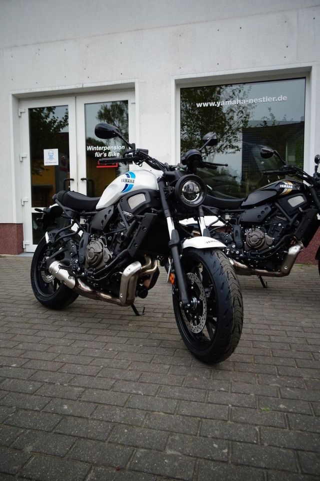 Yamaha XSR 700 in Neuenhagen