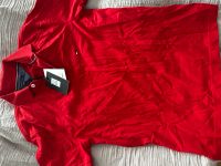 Tommy Hilfiger Poloshirt Neu Nordrhein-Westfalen - Porta Westfalica Vorschau