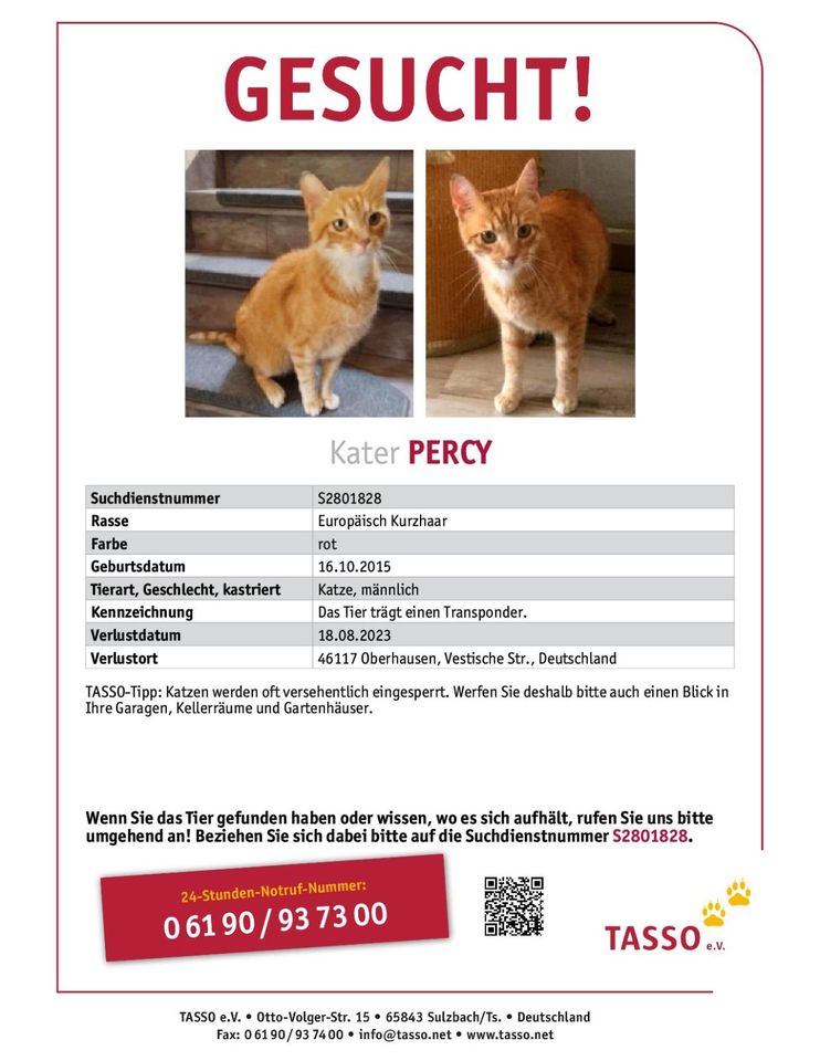 Wer hat PERCY gesehen oder aufgenommen? in Oberhausen