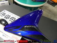 Yamaha YZF-R 125 Seitenverkleidung rechts 5D7-F835V-00-P4 Baden-Württemberg - Ravensburg Vorschau