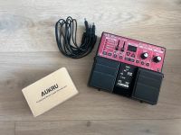 Boss Rc-30 Loop Station Nordrhein-Westfalen - Schwerte Vorschau