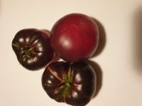 Tomaten - Samen für wilde Gärtner , eigene Zufalls - Hybriden Leipzig - Leipzig, Zentrum Vorschau