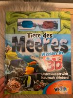 Tiere des Meeres/3-D Brille Rostock - Lütten Klein Vorschau