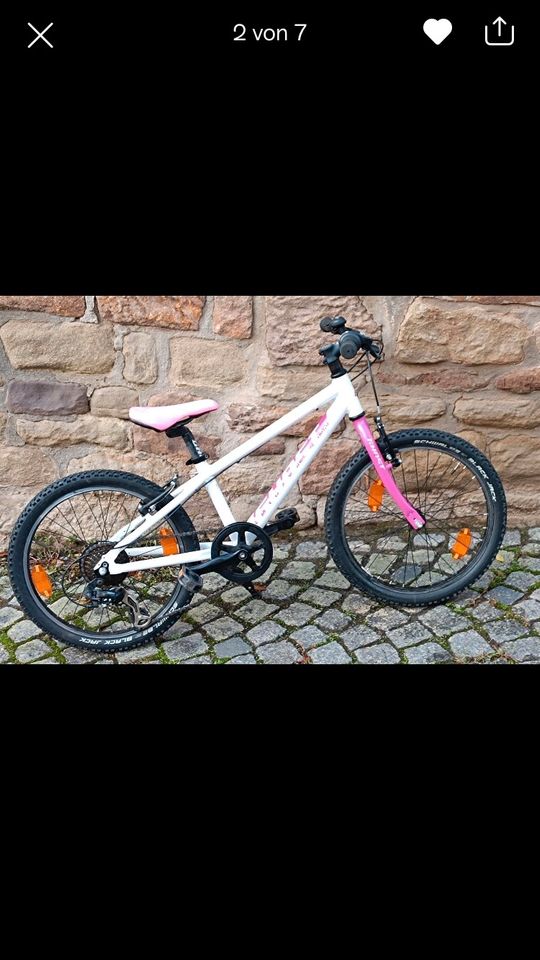 Ghost MTB 20 Zoll Mädchen Fahrrad pink weiß in Bad Kreuznach