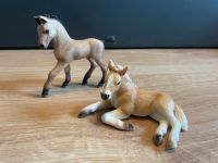 Schleich Fohlen Nordrhein-Westfalen - Bönen Vorschau