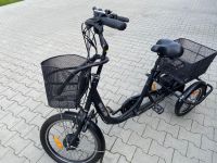 Elektrorad - e-Dreirad - Pedelec Citybike mit Elektroantrieb Niedersachsen - Walchum Vorschau