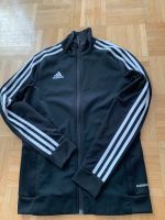 Adidas Jacke Obergiesing-Fasangarten - Obergiesing Vorschau