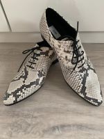 NEU! Schuhe Halbschuhe | Closed | Reptil-Optik | Leder | Gr. 38 Niedersachsen - Neu Wulmstorf Vorschau