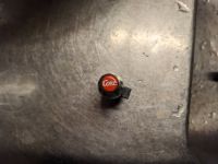 Coca Cola Miniatur Fläschen als Magnet Nordrhein-Westfalen - Lemgo Vorschau