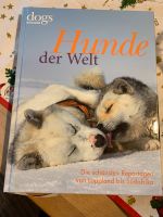 Buch „Hunde der Welt - Die schönsten Reportagen…“ Bayern - Augsburg Vorschau