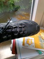 Schuhe Geox,Leder Schleswig-Holstein - Sülfeld Vorschau