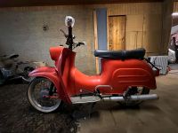 Simson Schwalbe KR51 Bj 1966 Niedersachsen - Neuenhaus Vorschau