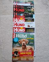 11 Zeitschriften DER  HUND Bayern - Röttenbach (bei Erlangen) Vorschau