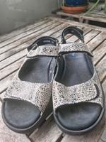 Wolky-Sandalen Größe  40 Köln - Nippes Vorschau
