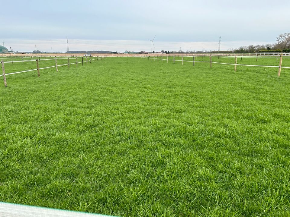 Suche Weide Wiese Grünland in Viersen