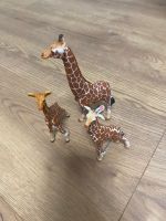 Schleich Giraffen Familie Häfen - Bremerhaven Vorschau