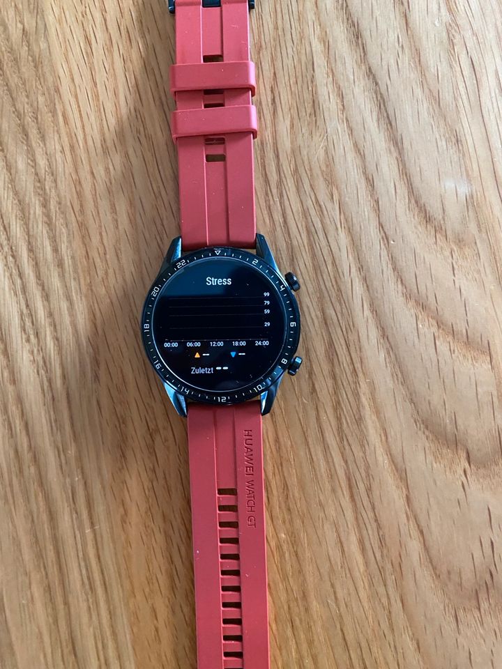 Huawei Watch GT2 /smartwatch in Schlitz