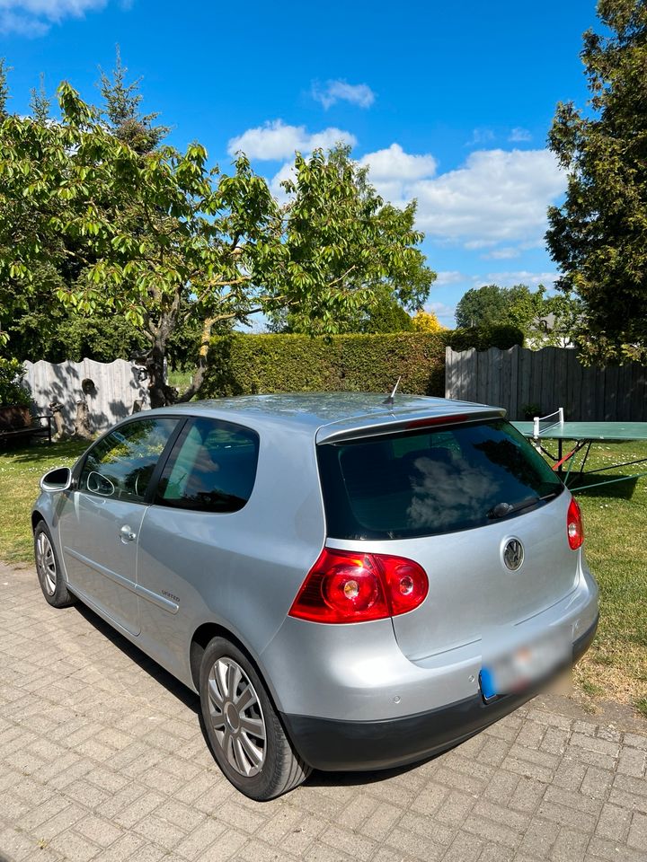 Golf 5 United in Stendal