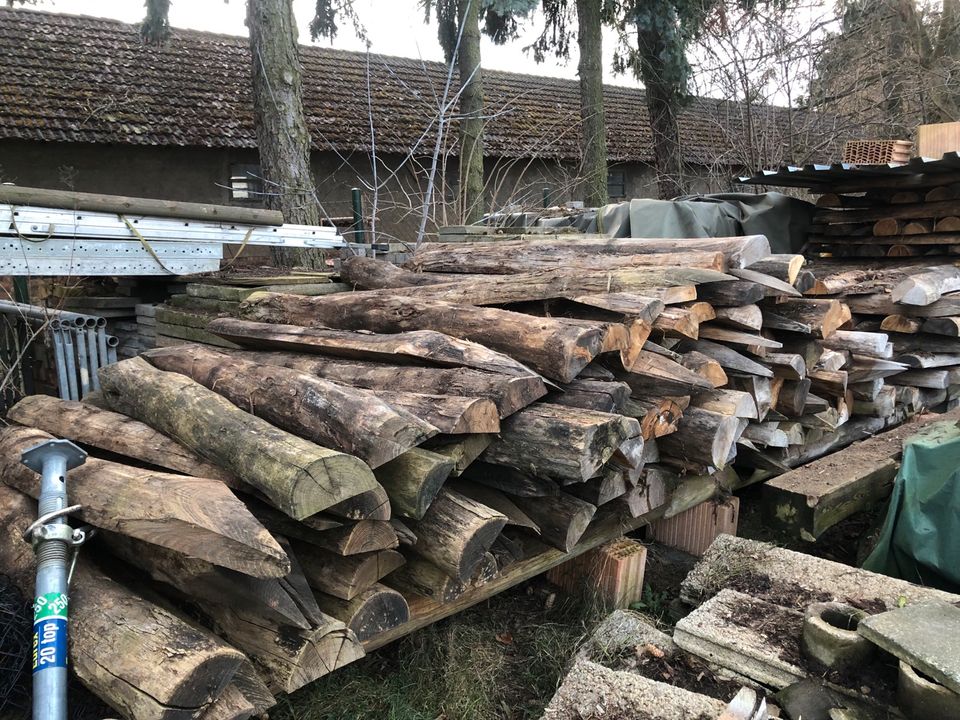 Robinienpfähle, Koppelpfähle in Luckau