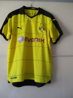 T-Shirt von BVB Brandenburg - Bersteland Vorschau