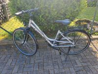 Fahrrad 28 Zoll Drive TRX3 Rheinland-Pfalz - Platten Vorschau