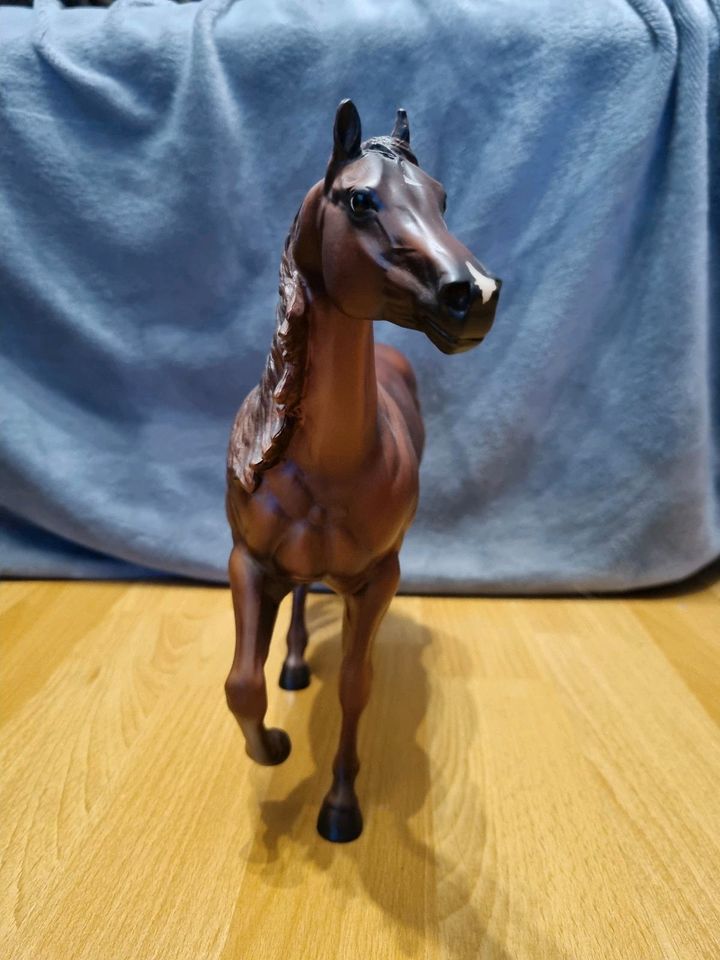 Breyer Traditional Modellpferd "Topsails Rien Maker" in Bebra