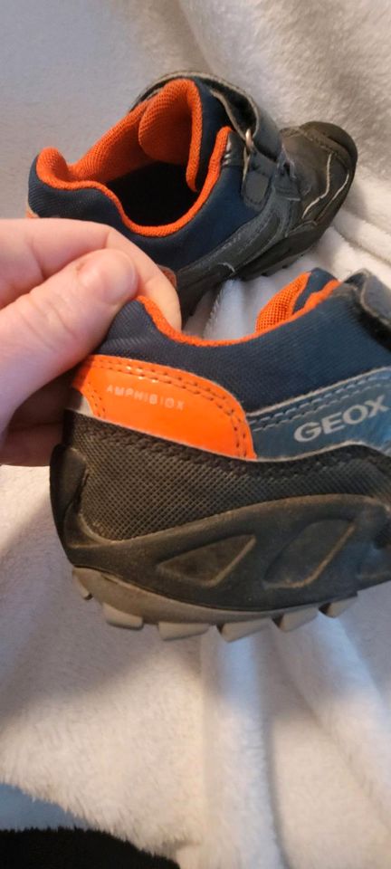 Schuhe Geox Amphibiox in Hannover