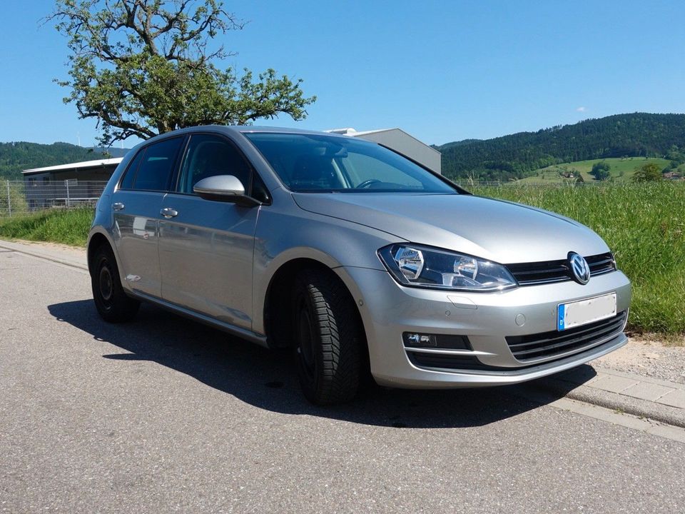 Volkswagen Golf 1.6 TDI BMT CUP in Hausach